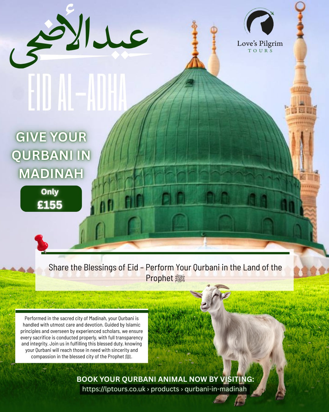 Qurbani in Madinah